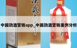 中国劲酒营销app_中国劲酒营销案例分析